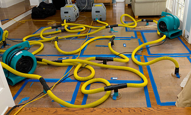 Professional Sewage Cleanup technician working in Trenton, OH
